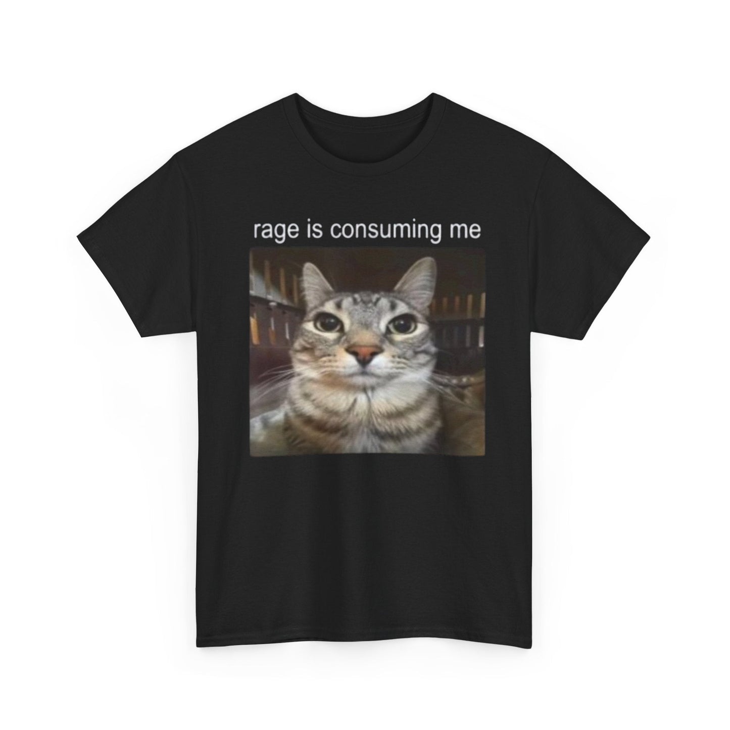 Rage Is Consuming Me Funny Shirt