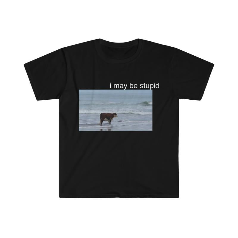 I May Be Stupid Cow On Beach Funny Meme Tshirt sweater and hoodie