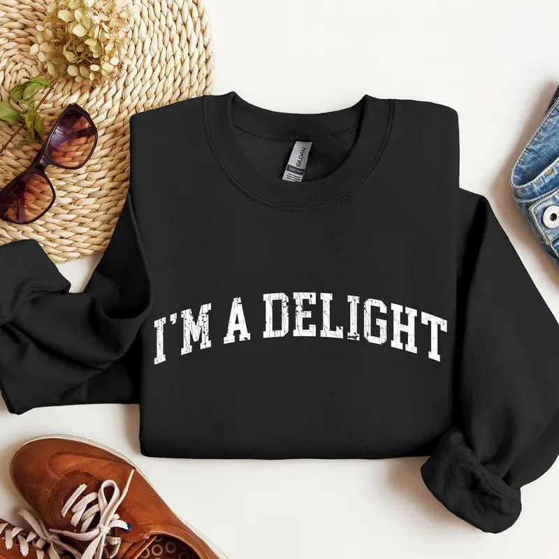I'm A Delight Funny Sweatshirt Sarcastic Unisex Soft Sweatshirt Adult Cozy Gift Top Women's Men's Gift College Style Top TK43GDstyle{n002}2