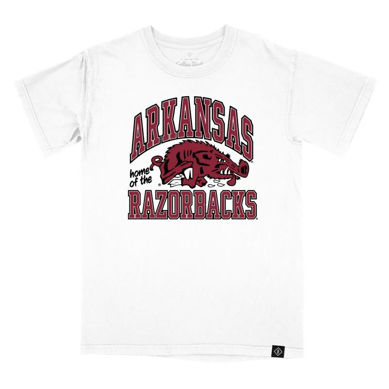 UNIVERSITY OF ARKANSAS VAULT SLOBBERING HOG T-SHIRT