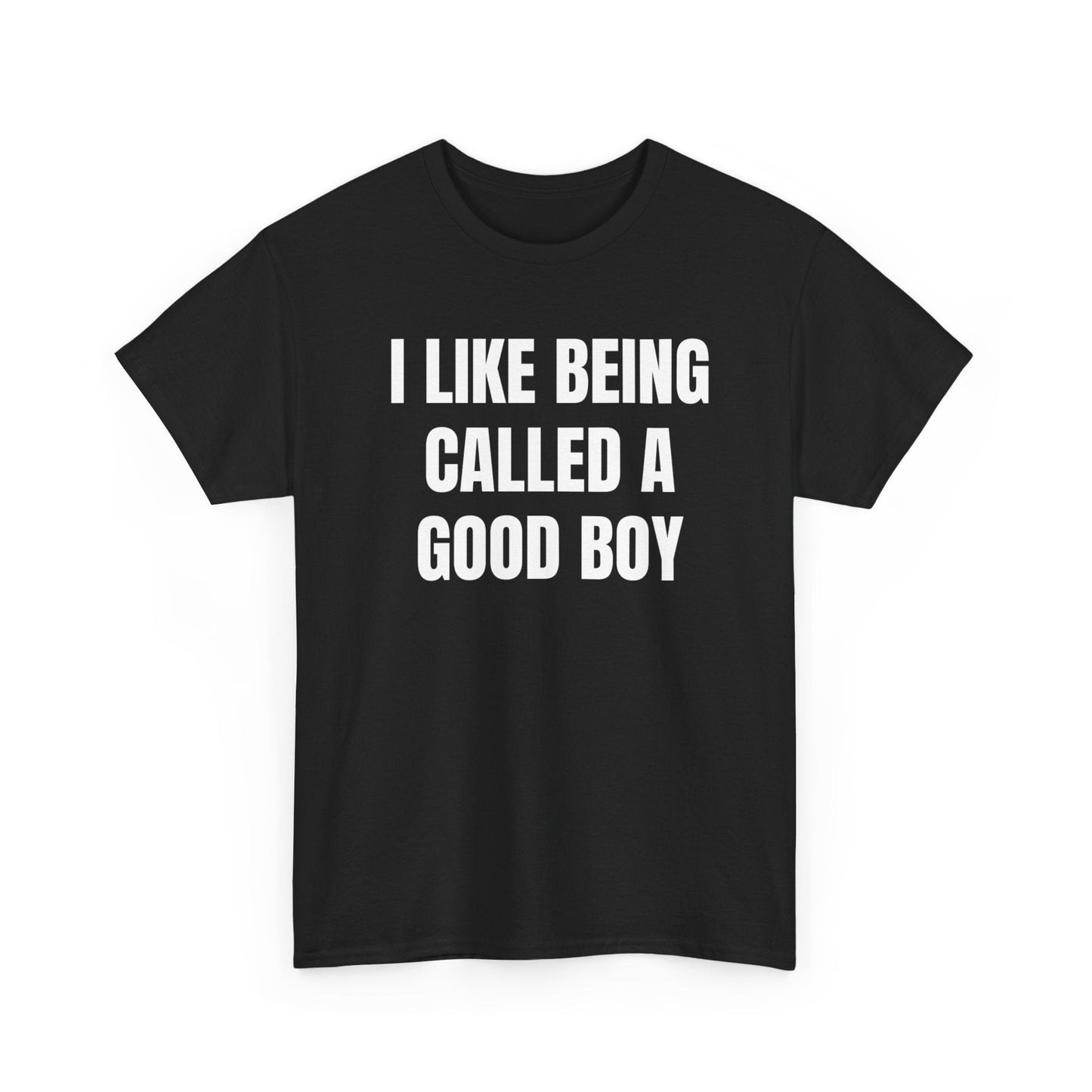 I Like Being Called A Good Boy Funny Shirt