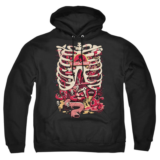 Rick And Morty - Anatomy Park Logo - Adult Pullover Hoodie