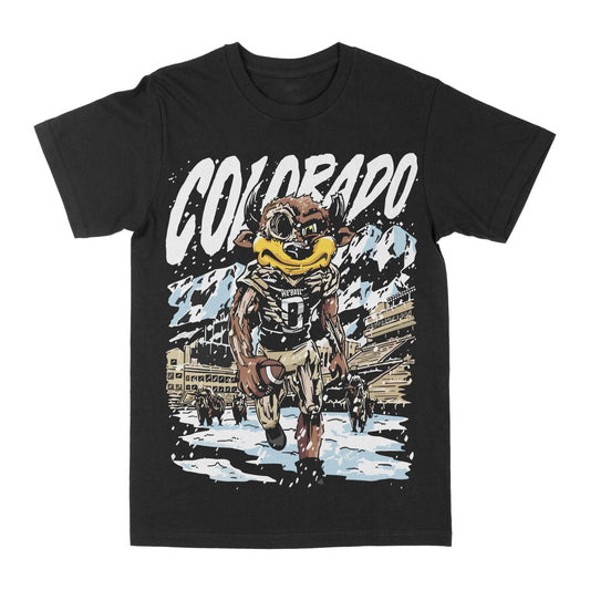 Colorado Graphic Tee Style001