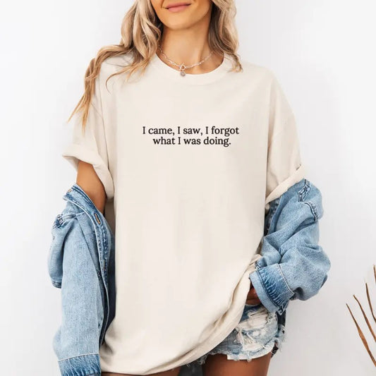 I Came, I Saw, I Forgot What I was Doing Embroidered Sweatshirt, Funny Sweatshirt, Sarcastic Sweater, Comfort Colors Embroidered T-Shirt, EMB