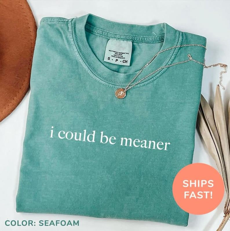 I Could Be Meaner Shirt, Funny Humor Sweatshirt, Sarcastic T-Shirt, Funny Quote Sweater, Sarcasm Shirt, Trendy Shirt for Women