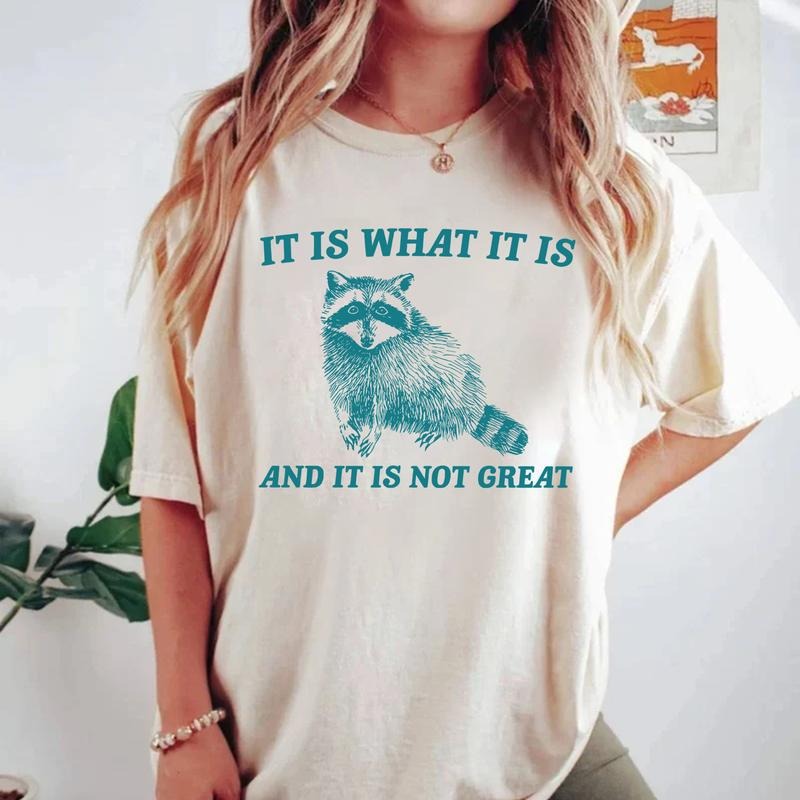 It Is What It Is And It Is Not Great Shirt, Vintage Shirt, Raccoon Meme Shirt, Funny Trash Panda Shirt, Unisex Tee