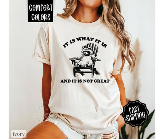 It Is What It Is Shirt Comfort Colors, Raccoon Shirt, Oversized Graphic Tshirt, Vintage Tshirts