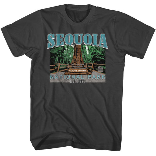 National Parks - Sequoia - American Classics - Solid Gray Adult Short Sleeve T-Shirt
