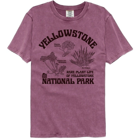 National Parks - Rare Plants Yellowstone - American Classics - Solid Purple Adult Short Sleeve Comfort Color T-Shirt