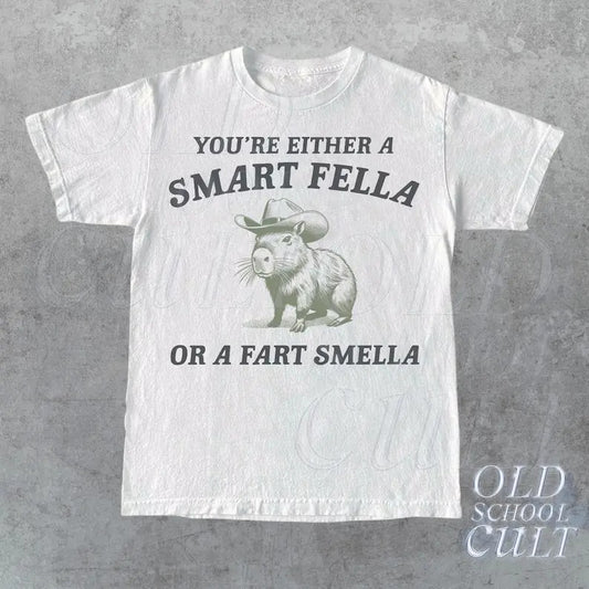 Premium  Are You A Smart Fella Or Fart Smella Vintage Style Shirt, Retro Cartoon T Shirt, Weird T Shirt, Meme T Shirt