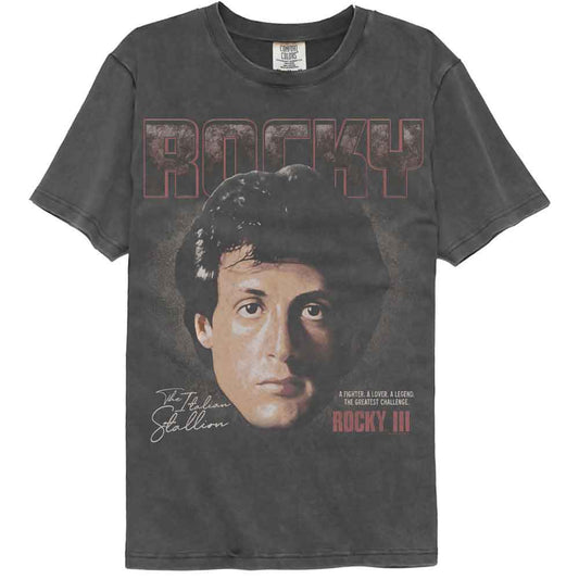 Rocky - Head - American Classics - Gray Solid Adult Short Sleeve Comfort Color T-Shirt