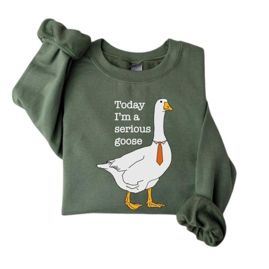 Today I'm A Serious Goose, Silly Goose Sweatshirt, Crewneck Sweaters For Women, Shirts for Men, Funny Silly Goose University Hoodie Classic Fabric